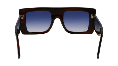 VICTORIA BECKHAM VB677S 227 51