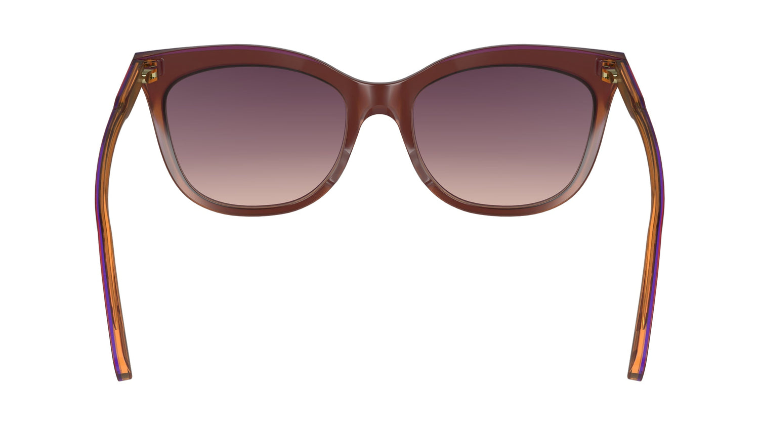 LONGCHAMP LO738S 681 53
