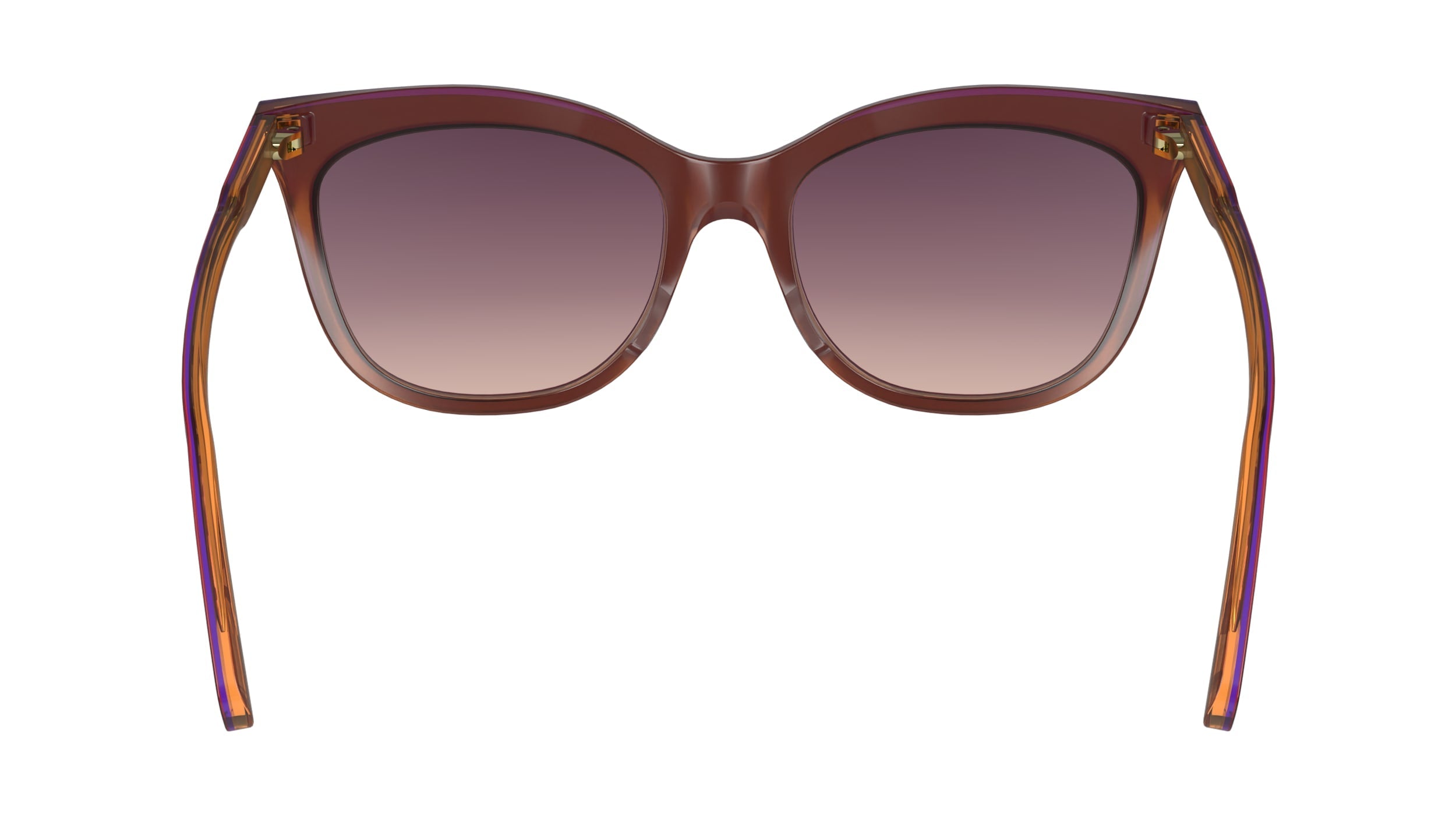 LONGCHAMP LO738S 681 53