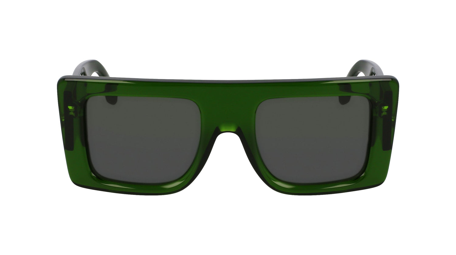 VICTORIA BECKHAM VB677S 302 51