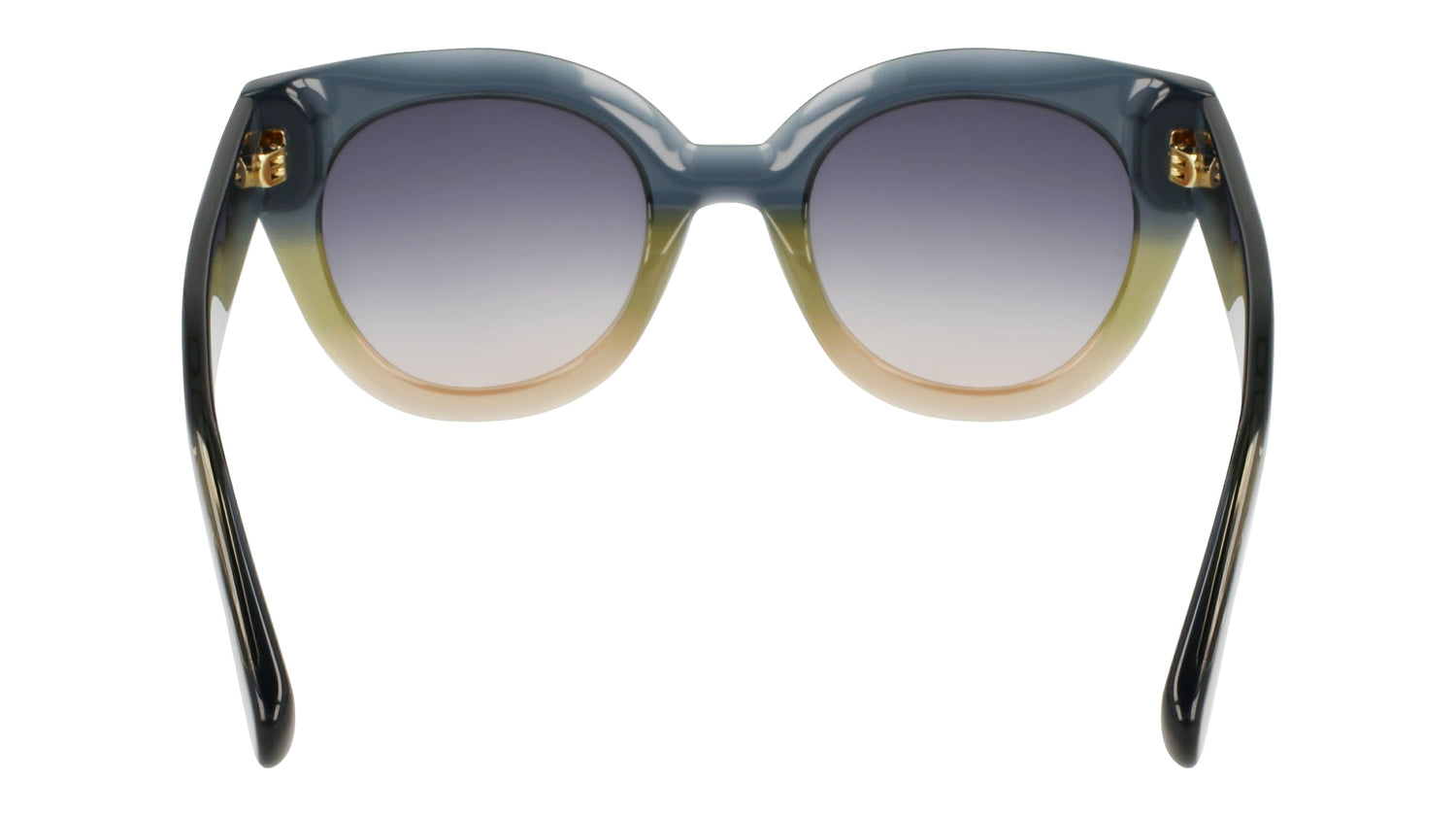 LONGCHAMP LO750S 434 49