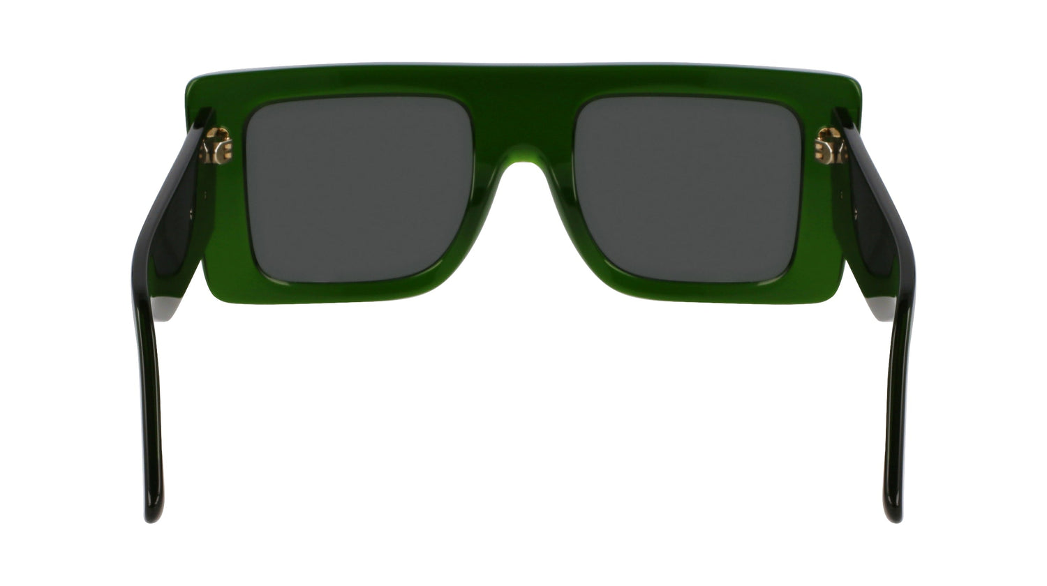 VICTORIA BECKHAM VB677S 302 51