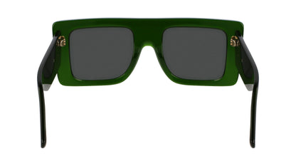 VICTORIA BECKHAM VB677S 302 51