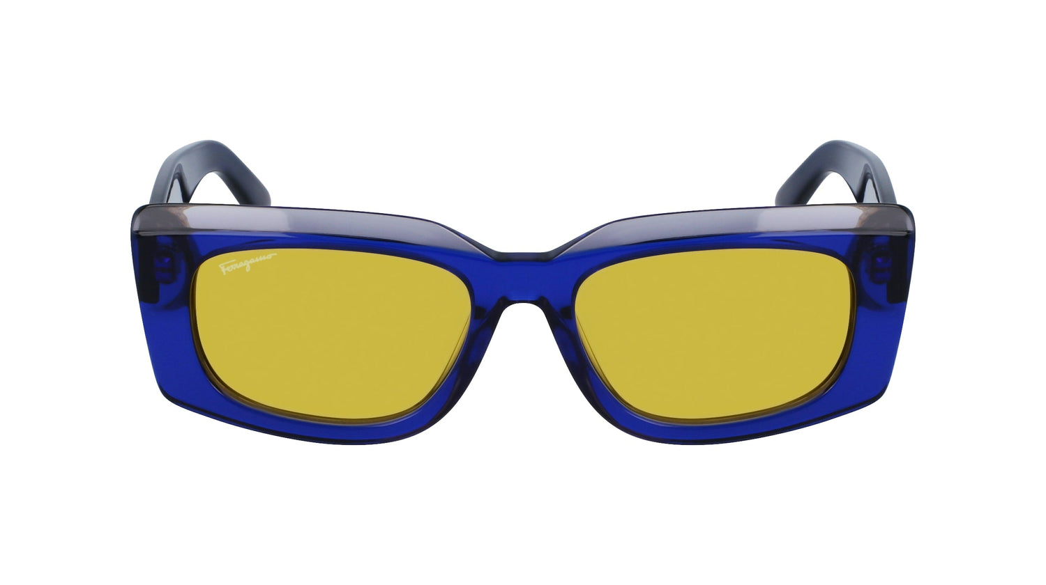 FERRAGAMO SF1079S 435 54
