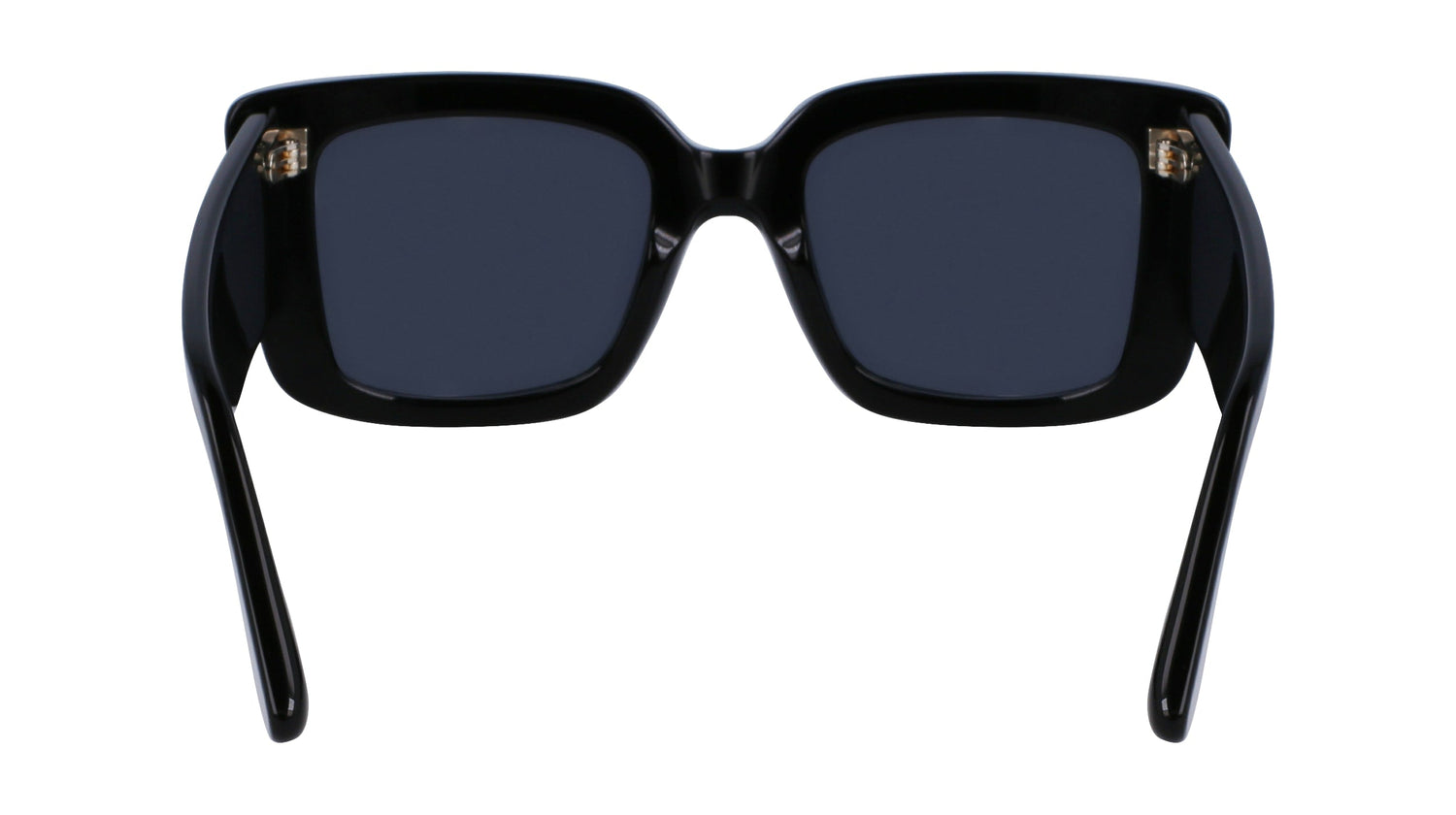 VICTORIA BECKHAM VB653S 001 52