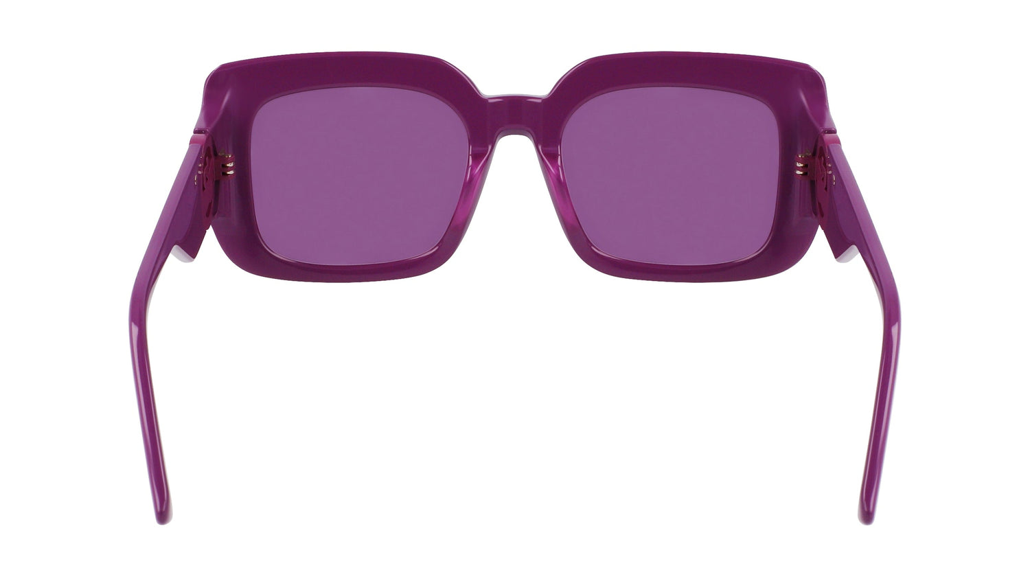 LONGCHAMP LO753S 500 51