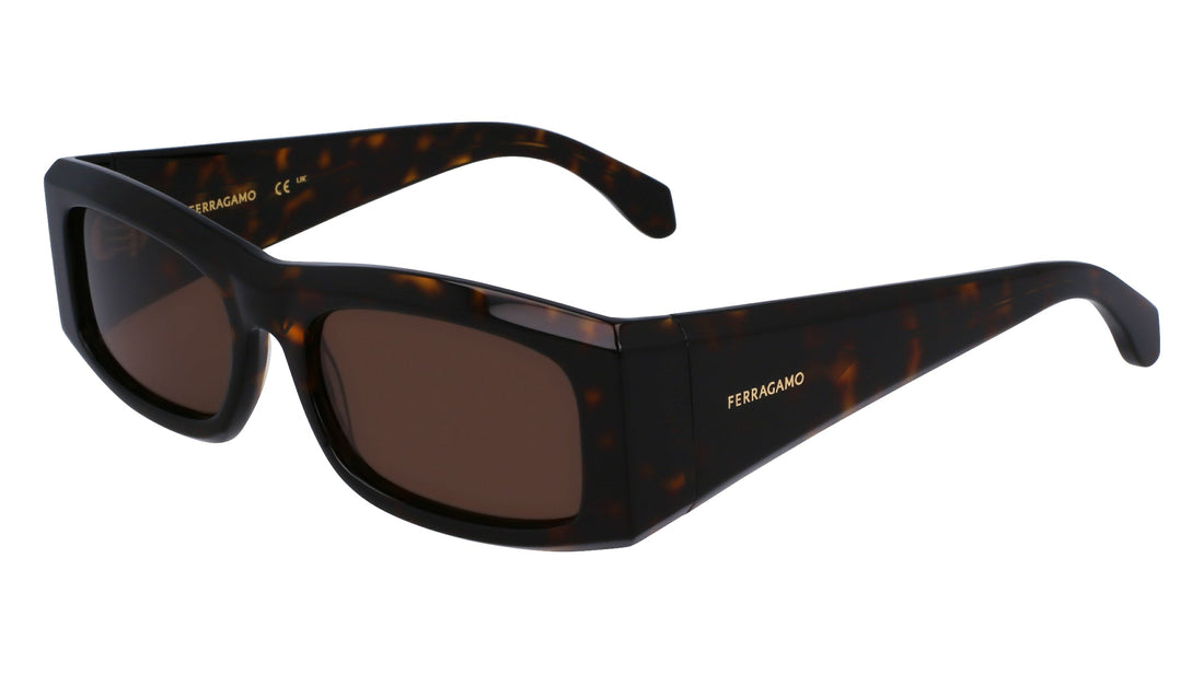 Translation missing: es.seo.product.type.gafas-de-sol ferragamo sf2012s 242 'square' masculino talla 57mm - Translation missing: es.seo.product.alt.imagen-principal