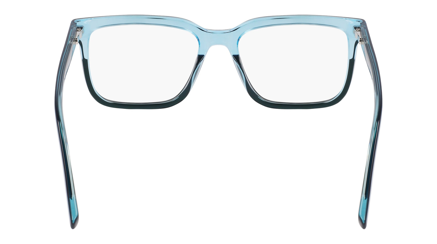 DKNY DK5071 310 52