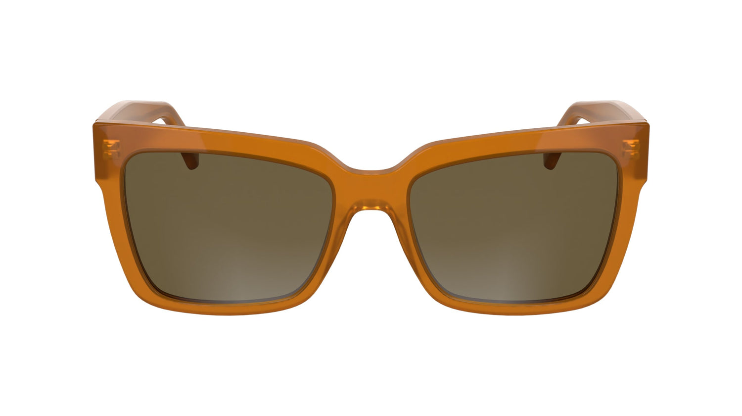 CALVIN KLEIN JEANS CKJ24606S 201 54