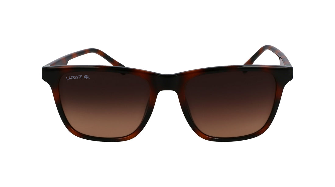 Translation missing: es.seo.product.type.gafas-de-sol lacoste l6041s 214 havana square masculino talla 54mm - Translation missing: es.seo.product.alt.imagen-principal