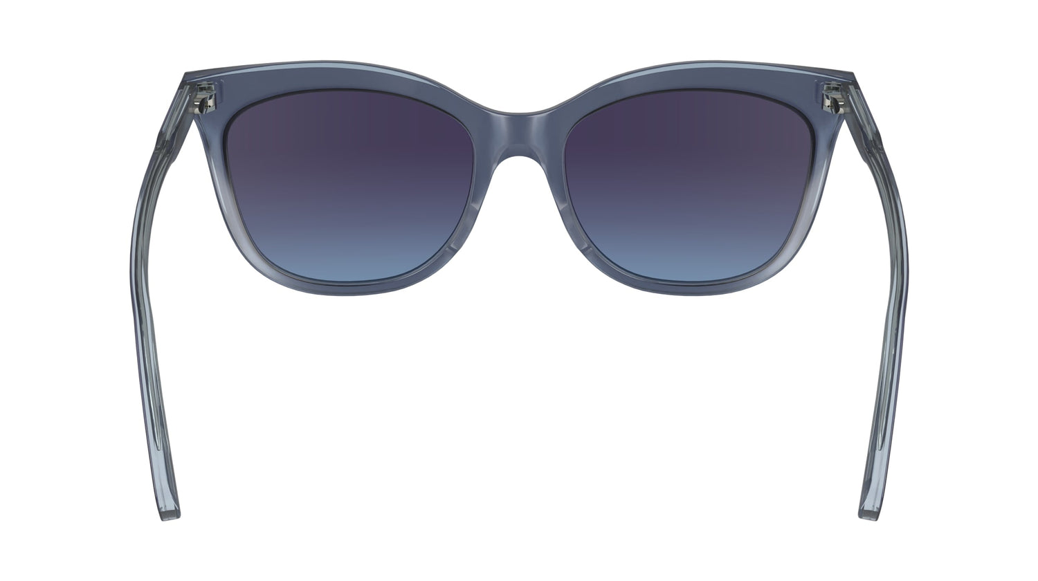 LONGCHAMP LO738S 405 53