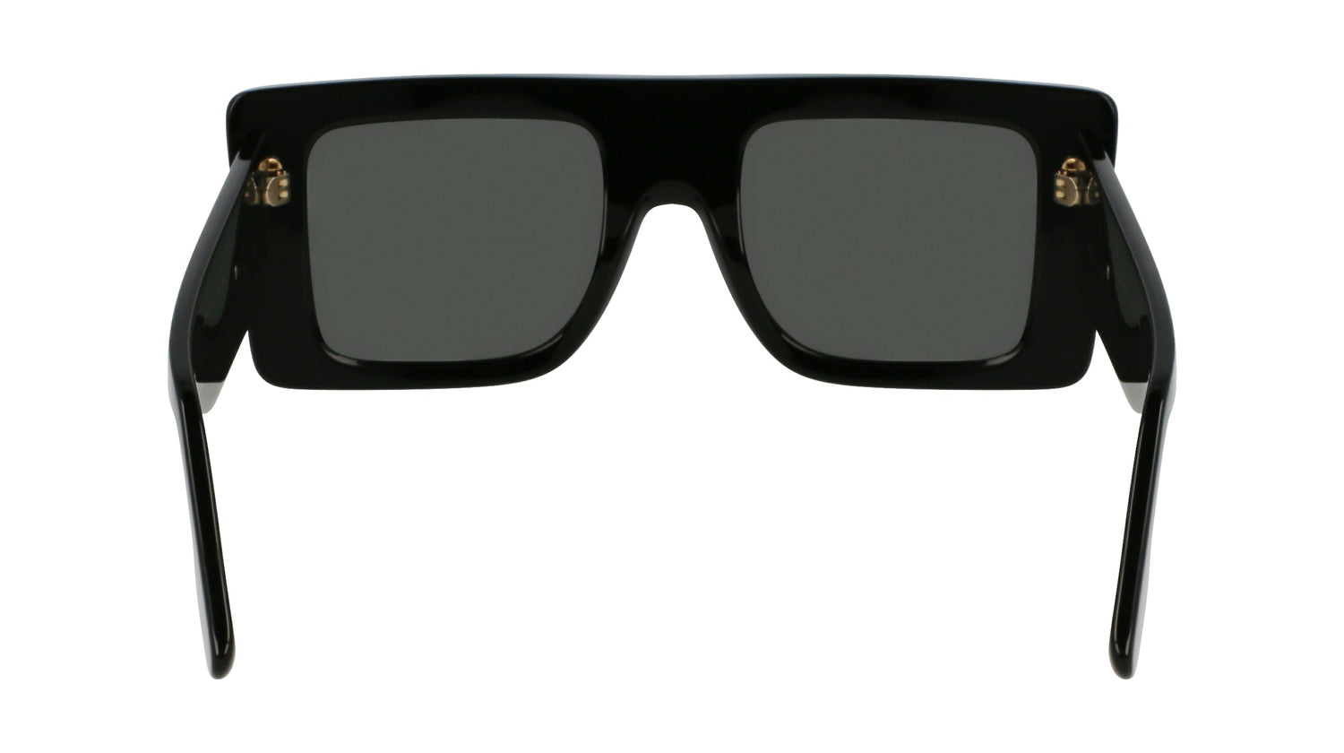 VICTORIA BECKHAM VB677S 001 51