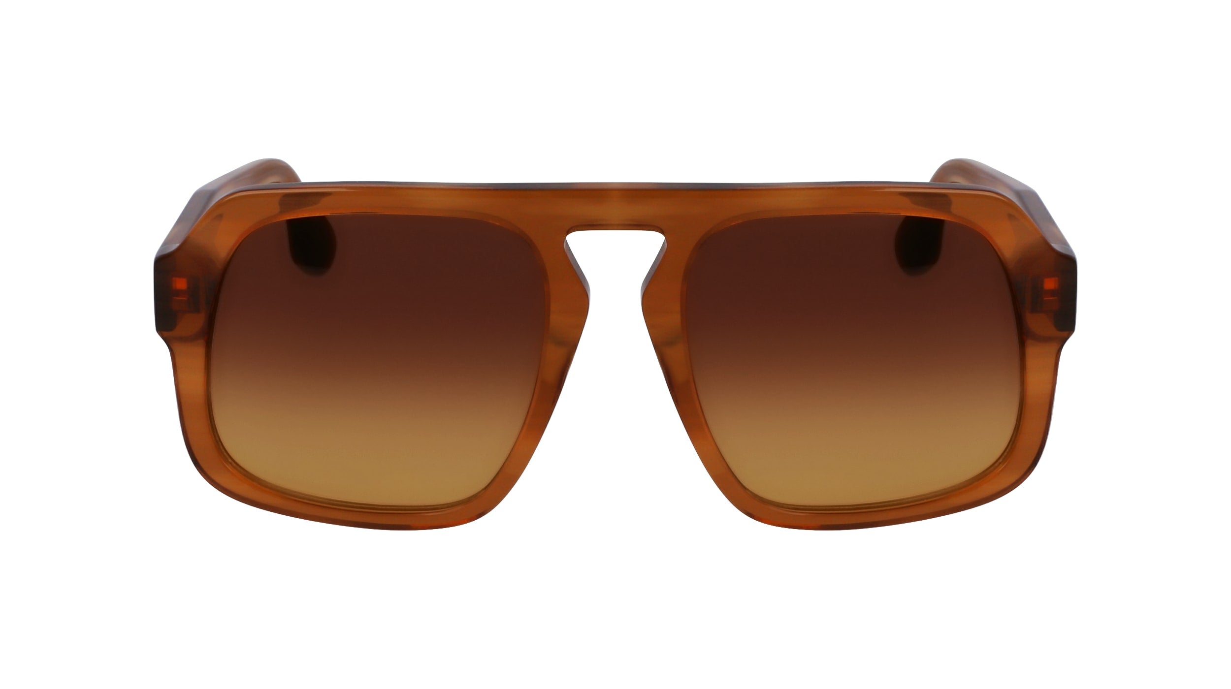 VICTORIA BECKHAM VB674S 773 53