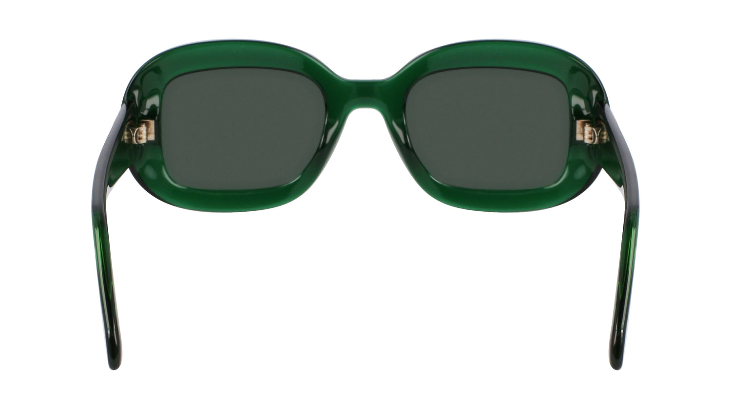 FERRAGAMO SF2038SE 317 51