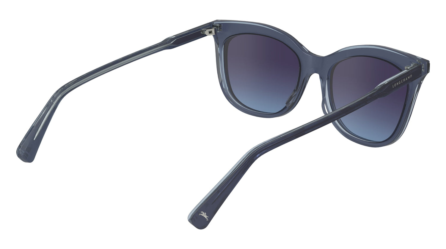 LONGCHAMP LO738S 405 53