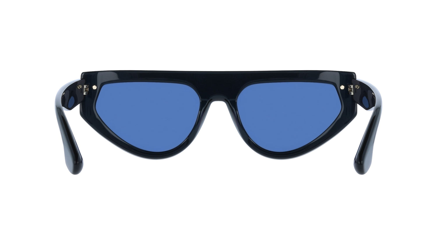 VICTORIA BECKHAM VB685S 415 56