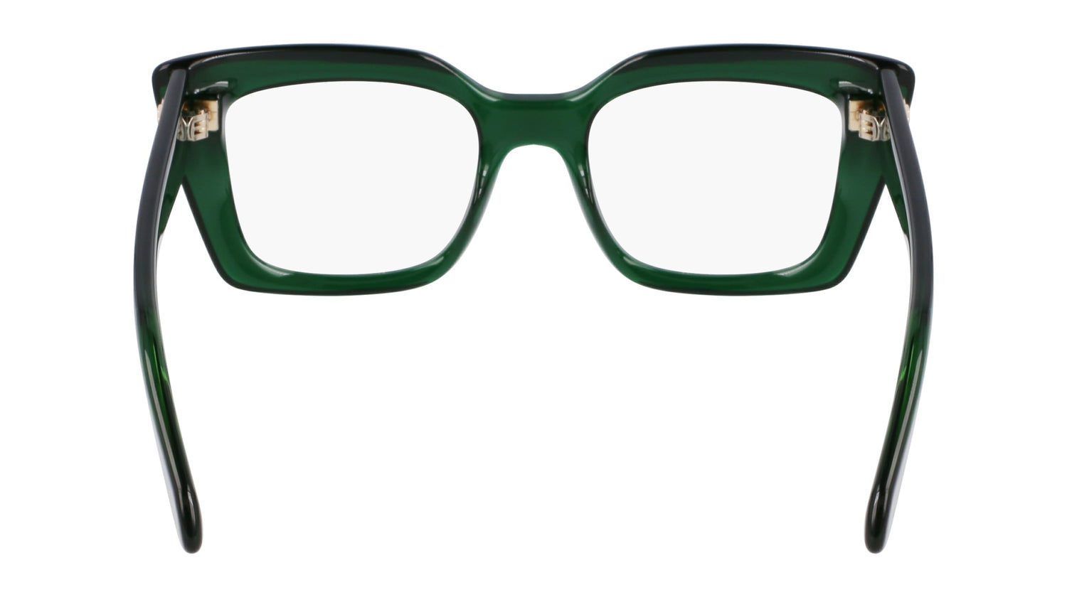 FERRAGAMO SF3008 317 50