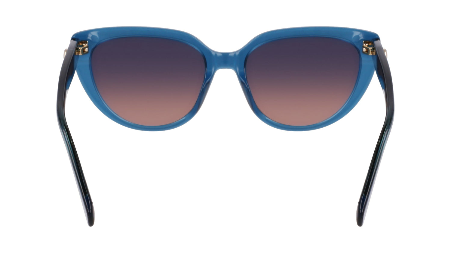 LONGCHAMP LO766S 400 53